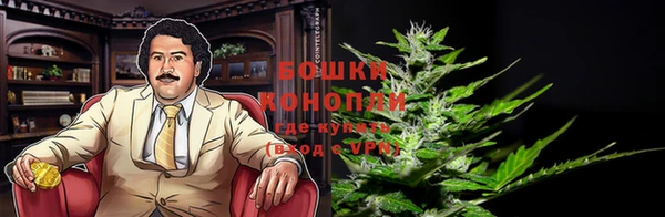 MESCALINE Ельня