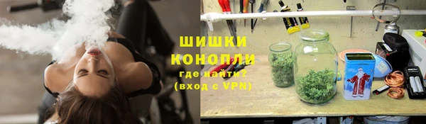 гидропоника Дмитриев