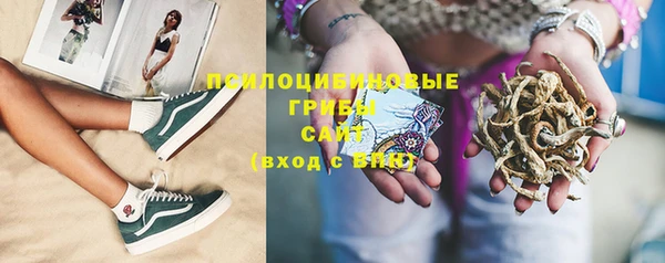 прущая мука Дмитровск