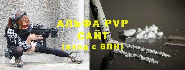 крисы Елабуга
